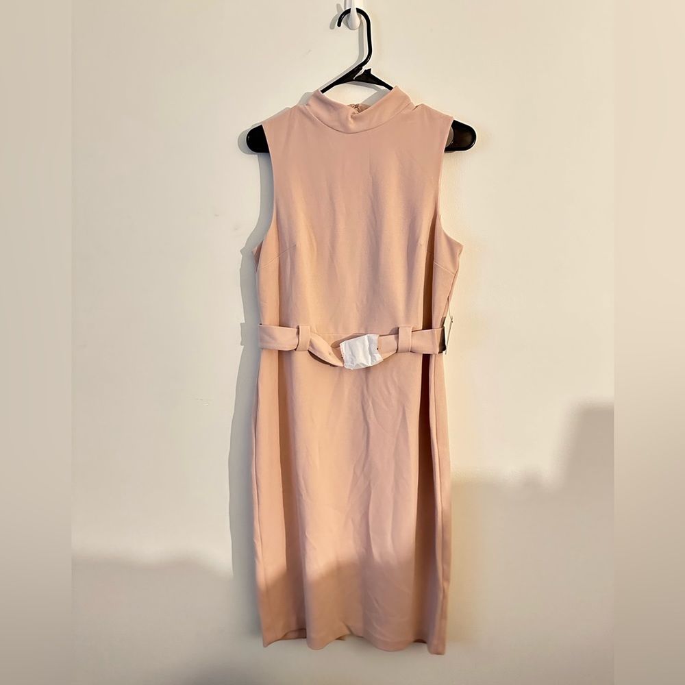 Express pink large sheath dress